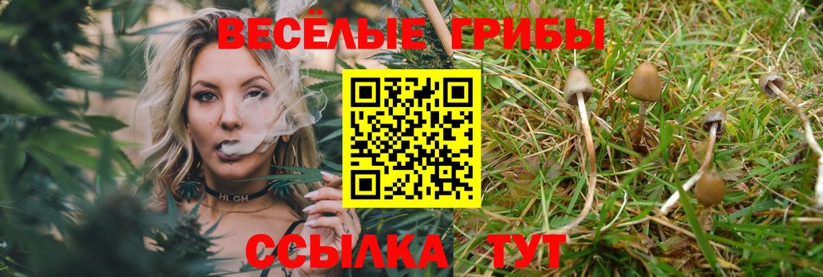 Галлюциногенные грибы мицелий Вольск